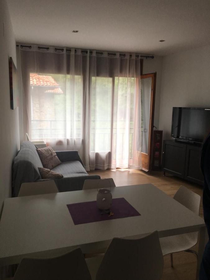 Precioso Apartamento Con Vistas Montana O Rio Ribes De Freser Exterior foto